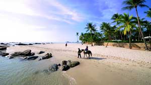 horseccd28ddd city 44294 168625674d7