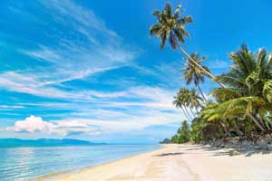 100i1f000001gp25l9F6E