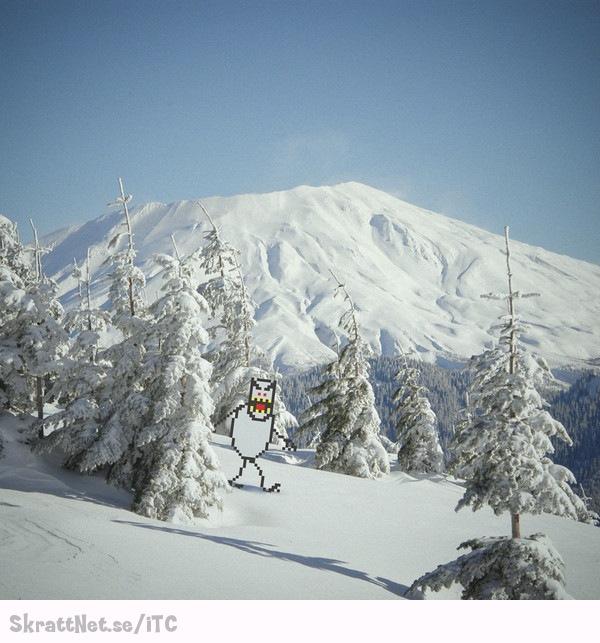 www.skrattnet.se--du-vet-att-du-spelade-dataspel-pa-80-talet-om-du-ser-detta-i-skidbacken--1352358585.jpeg