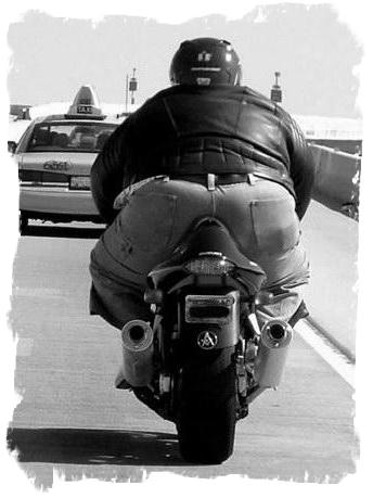 haya roliga bilder 510