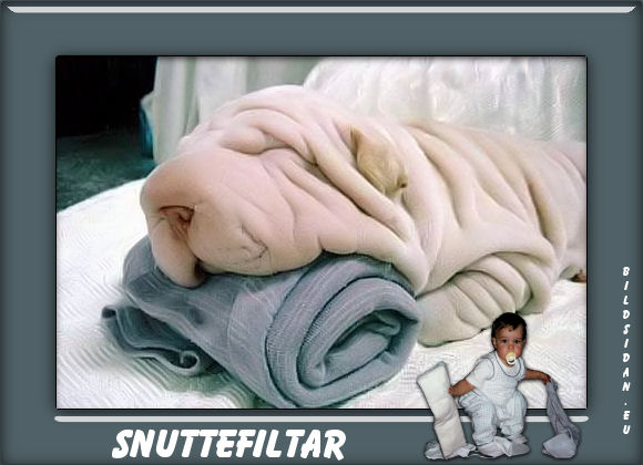 roliga bilder bild 267