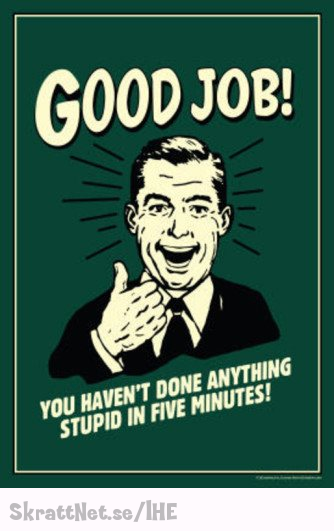 www.skrattnet.se--bra-jobbat-idiot--1348607395.jpeg