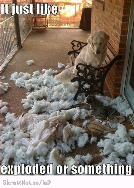 www.skrattnet.se--den-maste-liksom-bara-exploderat-eller-nat--1350423063.jpeg