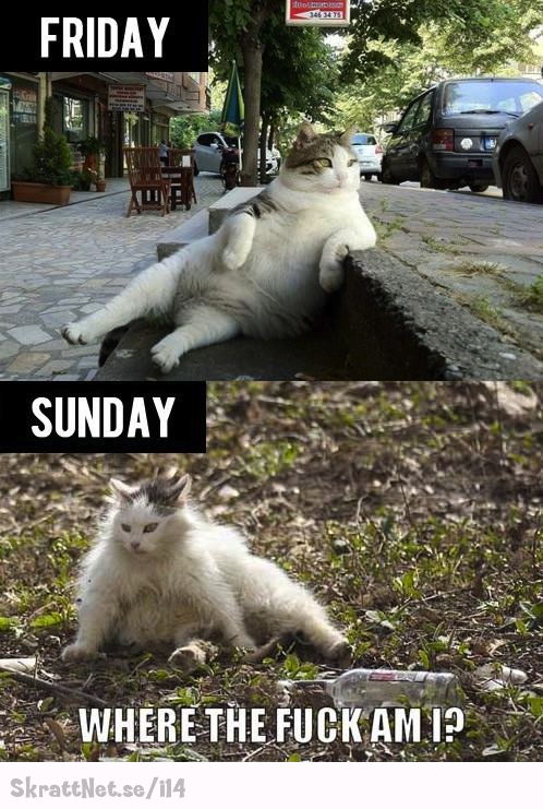 www.skrattnet.se--fredag-kontra-sondag--1350671774.jpeg